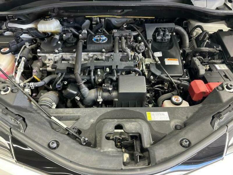 C-HR-17