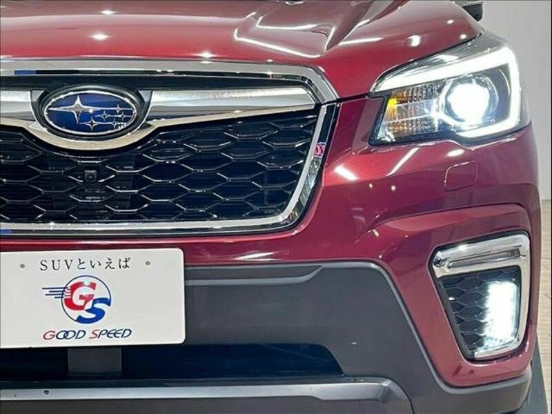FORESTER