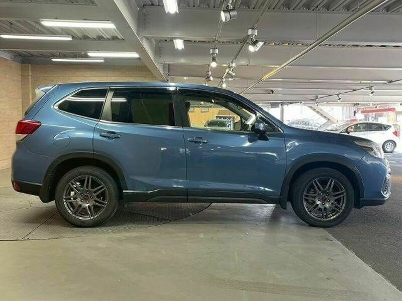 FORESTER