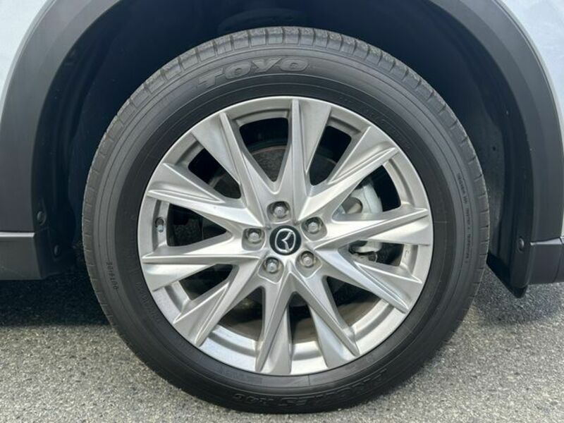CX-8-8