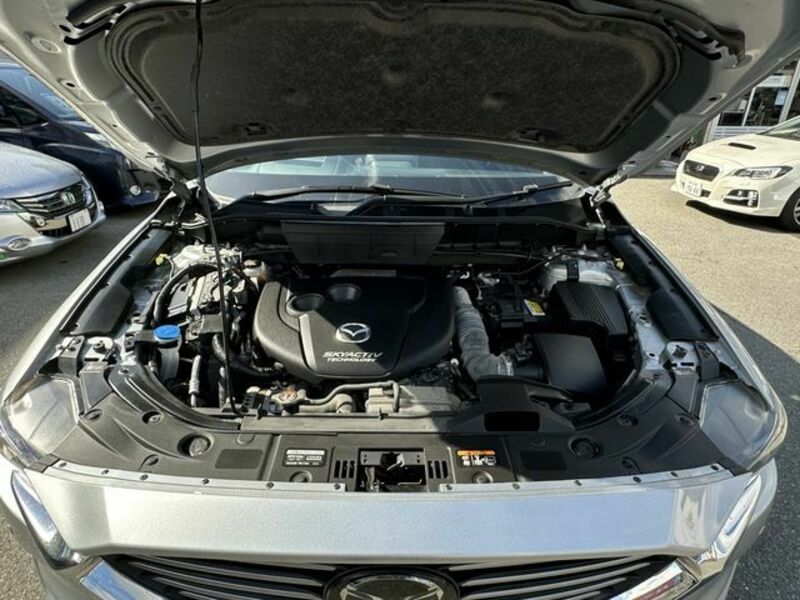 CX-8-29