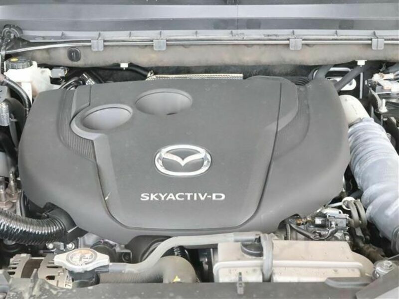 CX-8-25