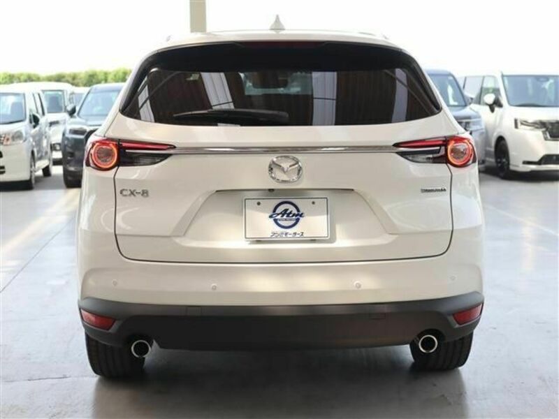 CX-8-29