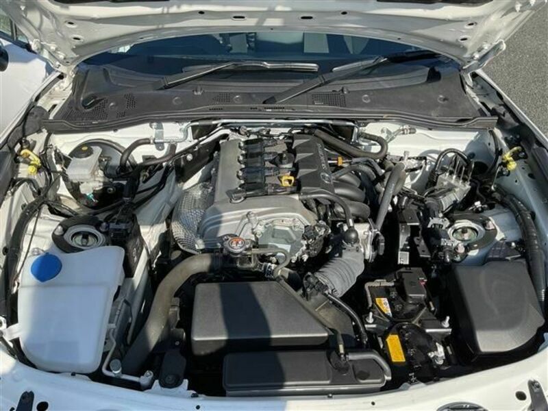 ROADSTER-22