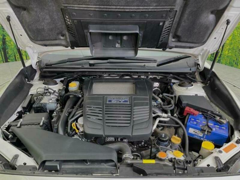 LEVORG-17