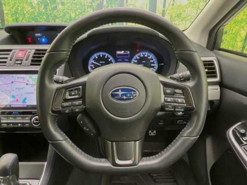 LEVORG-10