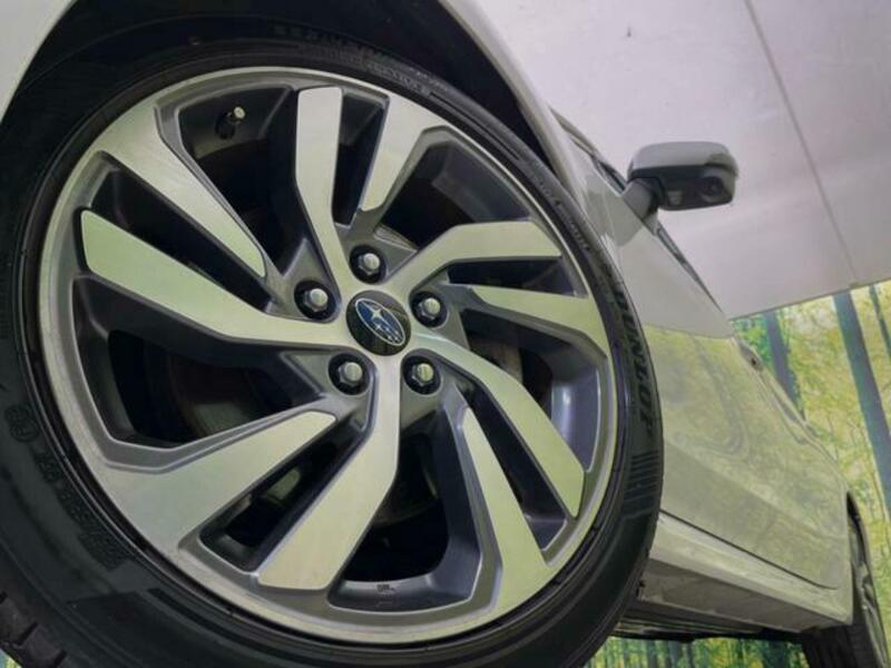 LEVORG-11