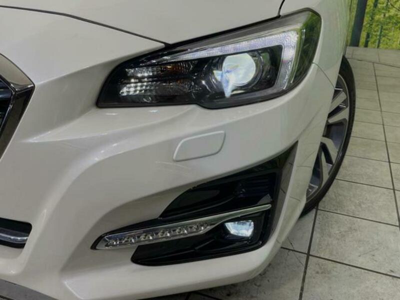 LEVORG-12