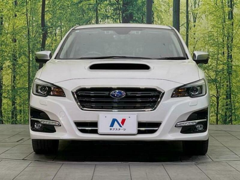 LEVORG-13
