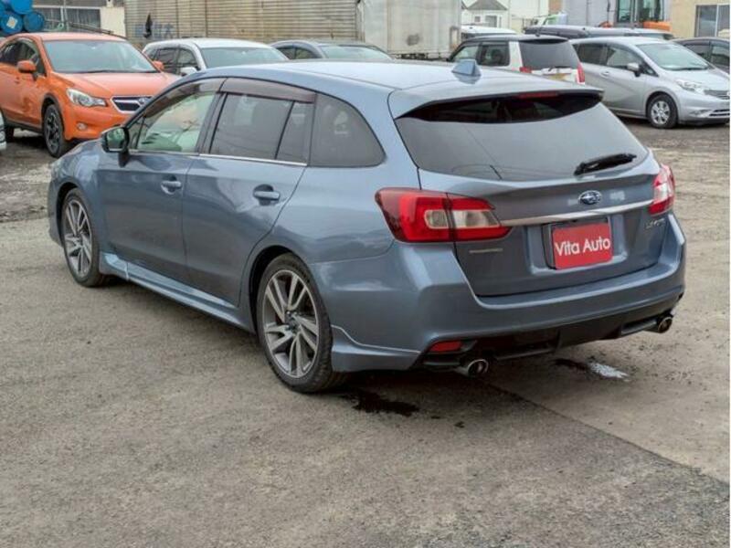 LEVORG