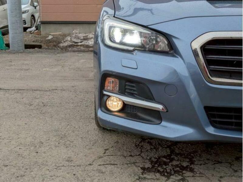 LEVORG