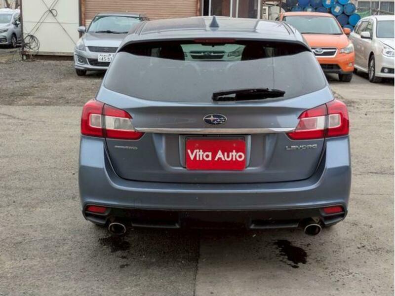 LEVORG