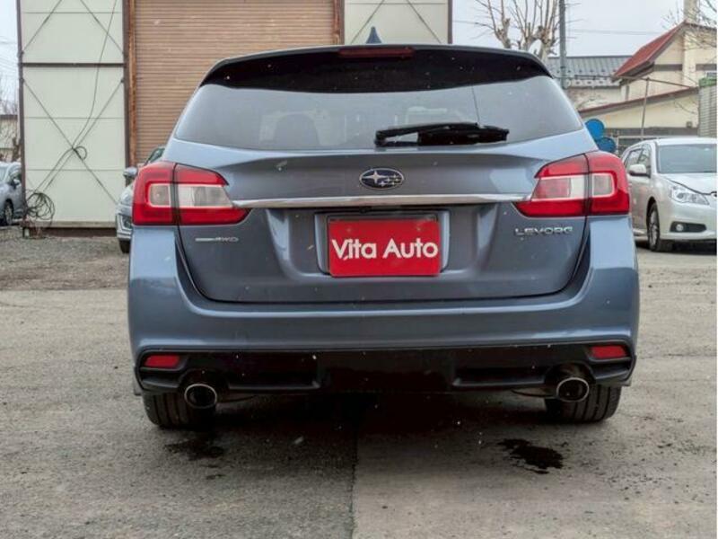 LEVORG