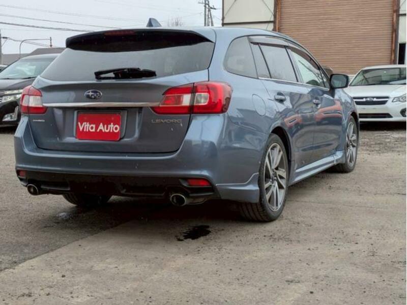 LEVORG