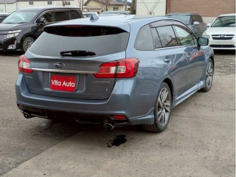 LEVORG