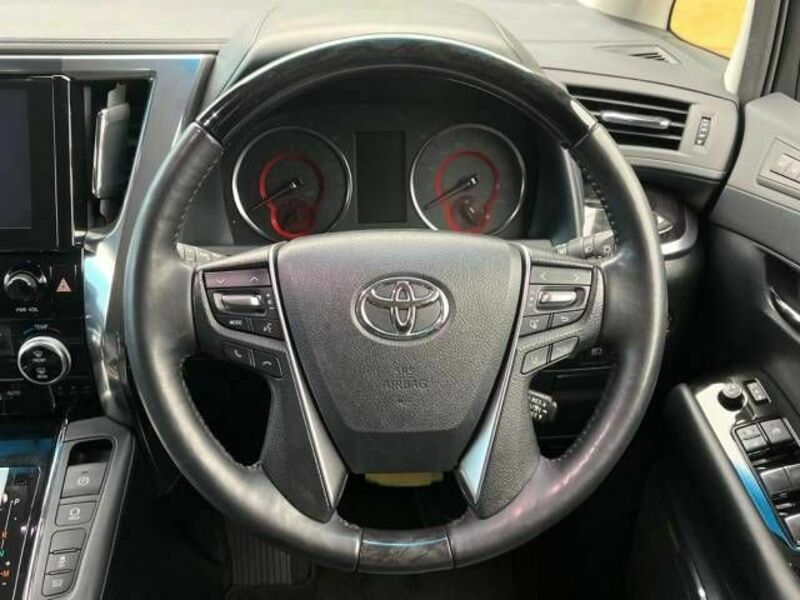 ALPHARD-10