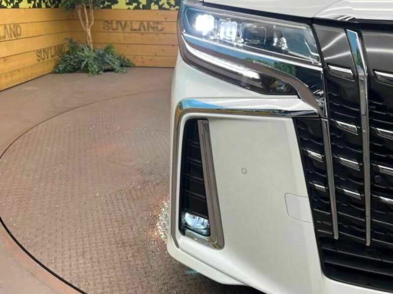 ALPHARD-11