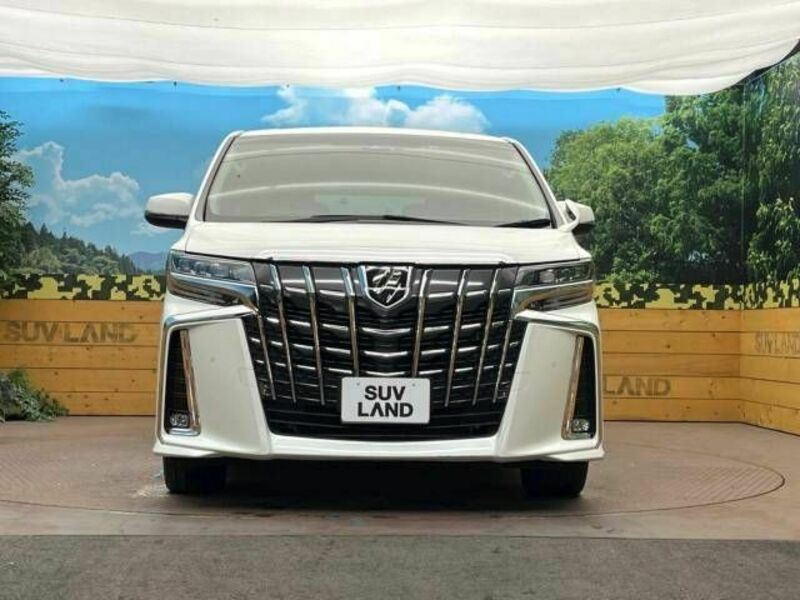 ALPHARD-13