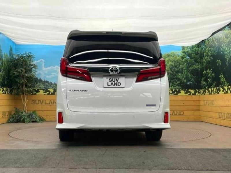 ALPHARD-14
