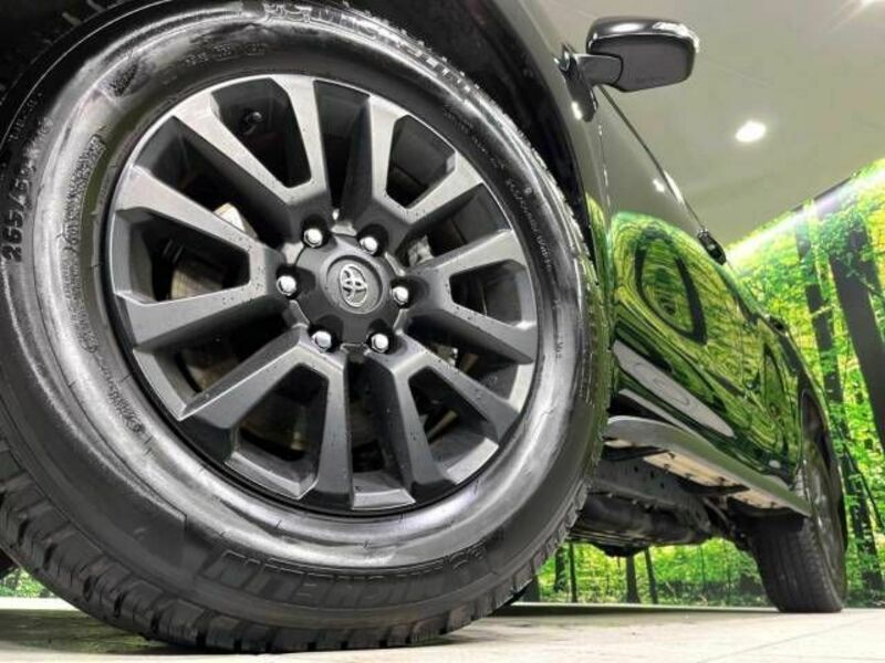 LAND CRUISER PRADO-12