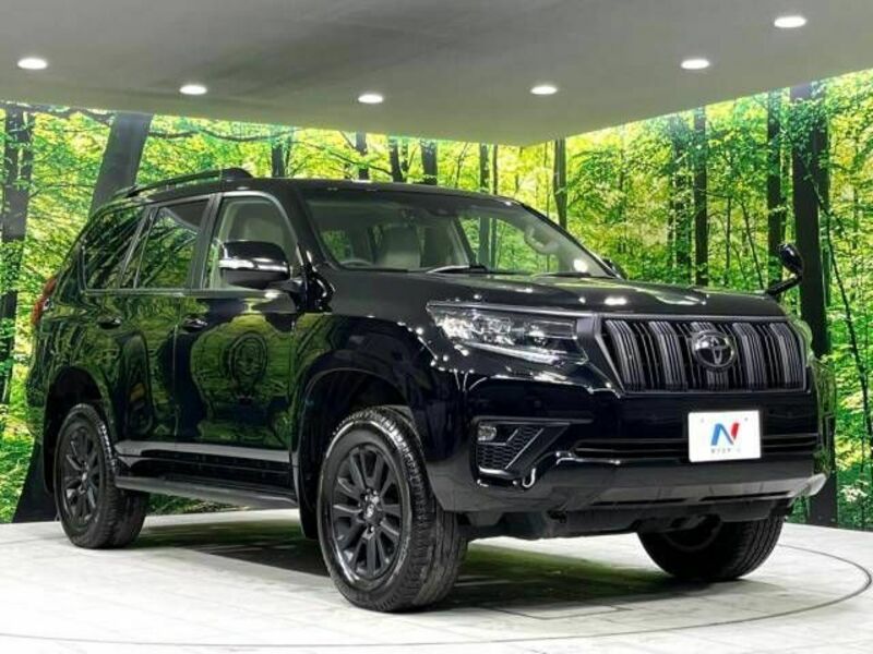 LAND CRUISER PRADO-15