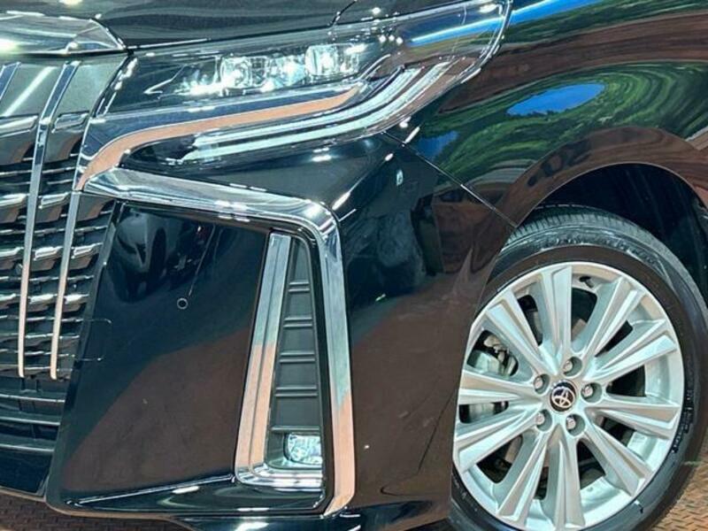 ALPHARD-12