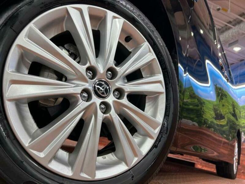 ALPHARD-13
