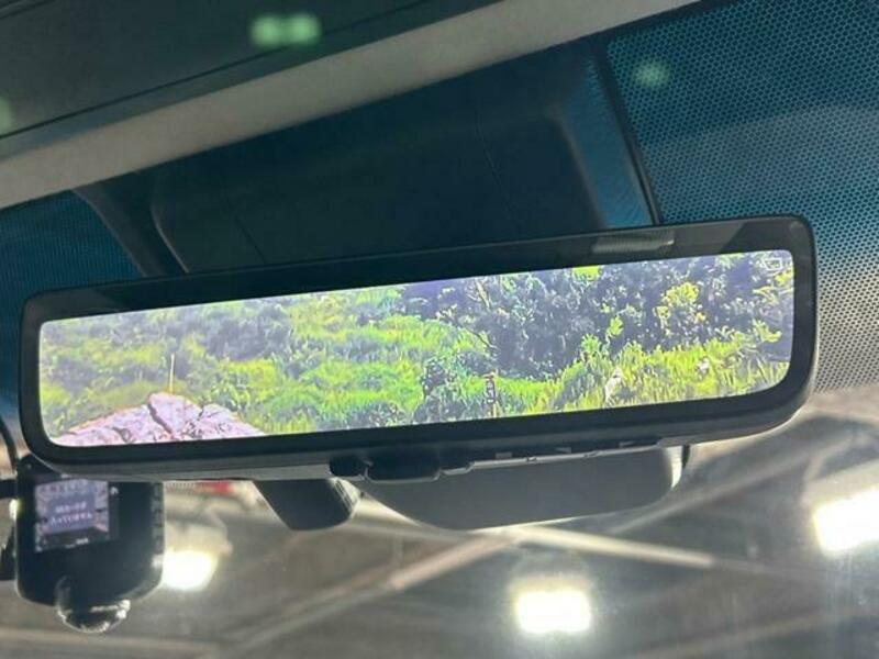 ALPHARD-6