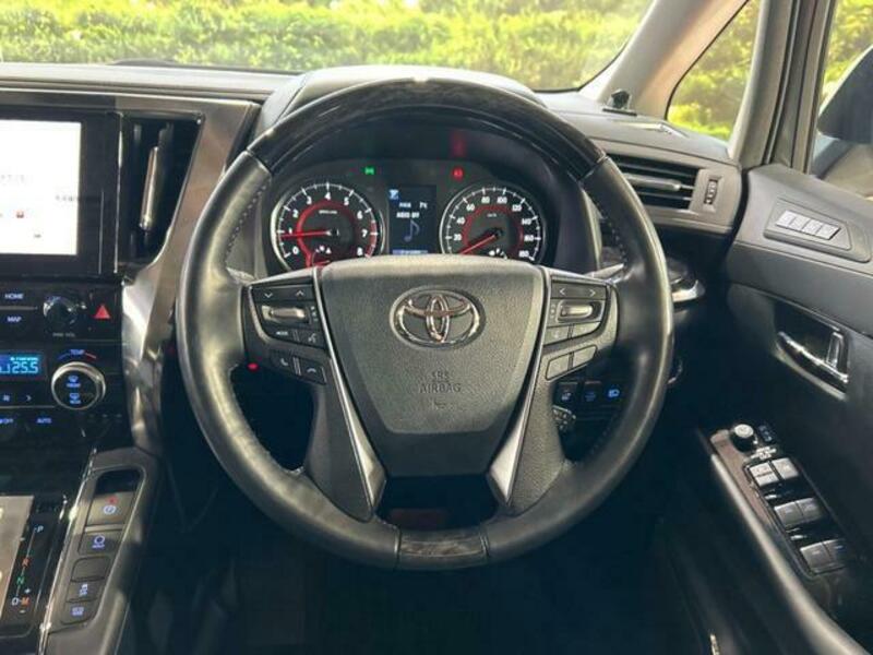 ALPHARD-12
