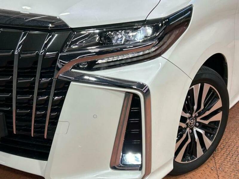 ALPHARD-13