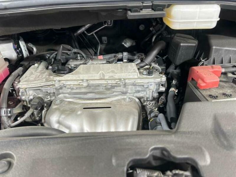 ALPHARD-18