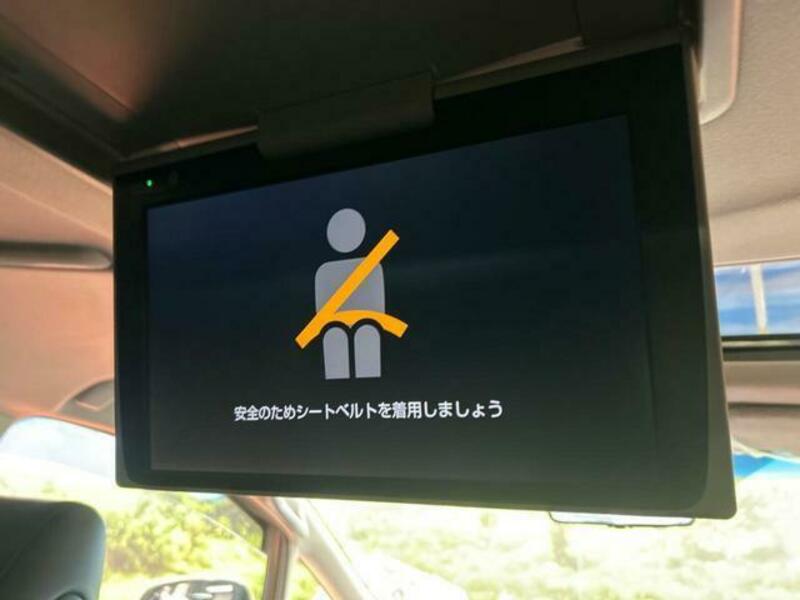 ALPHARD-3
