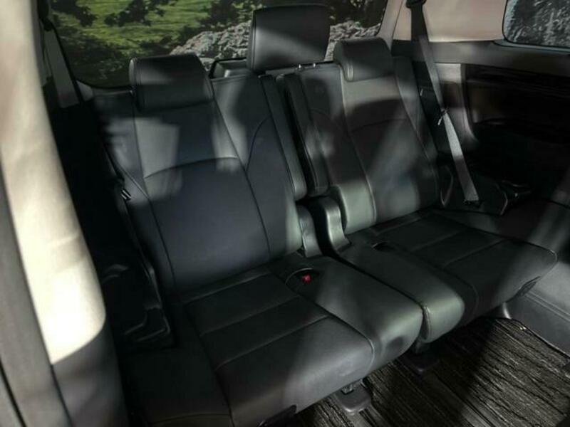 ALPHARD-10