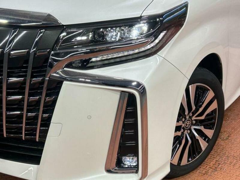 ALPHARD-13