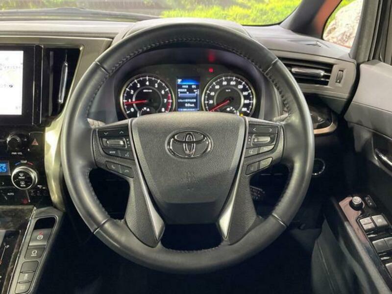 ALPHARD-10