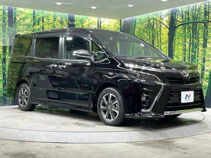VOXY-17