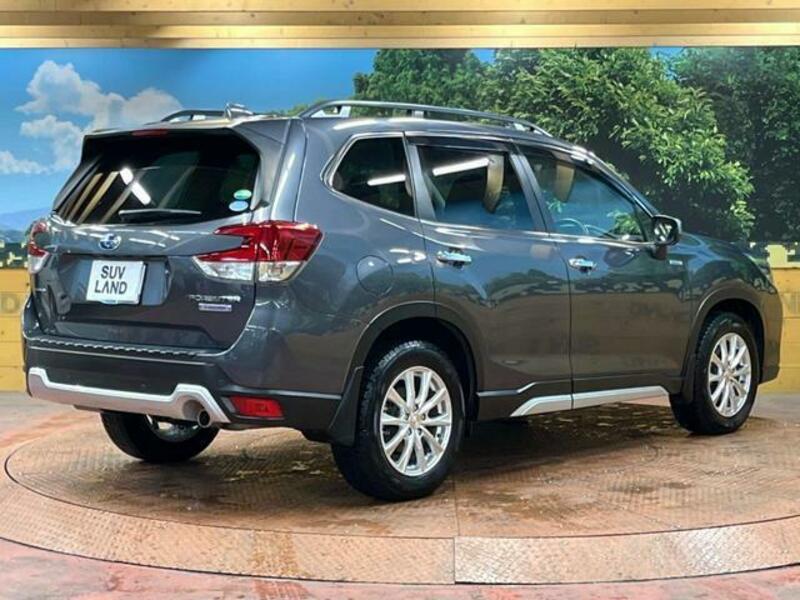 FORESTER