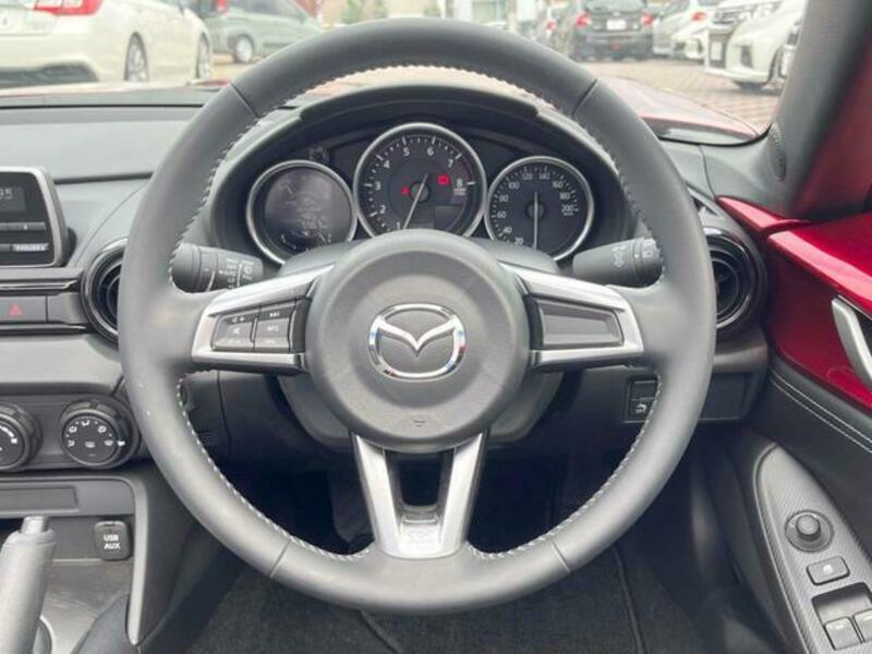 ROADSTER-11