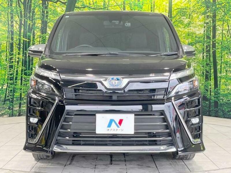 VOXY-14
