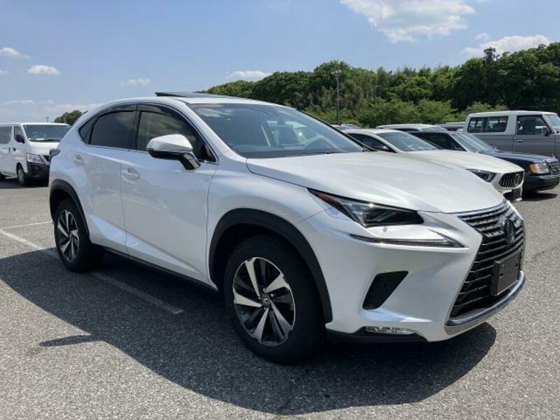 LEXUS　NX