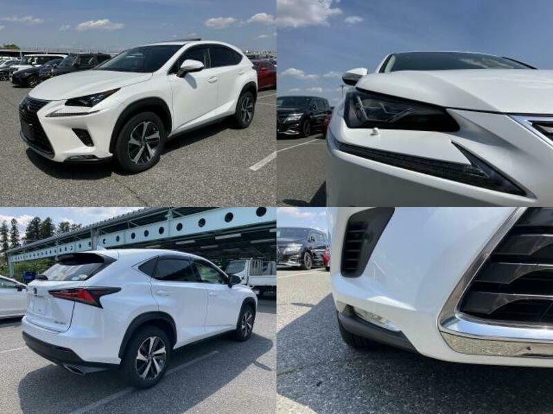 NX-3