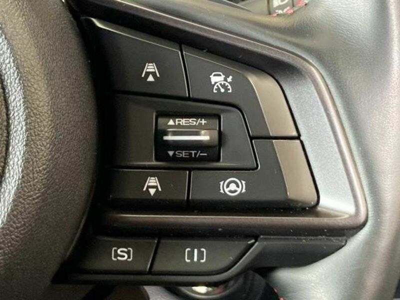 FORESTER-4