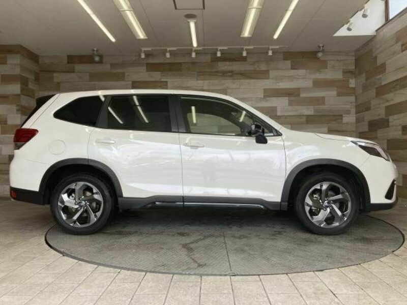 FORESTER-13