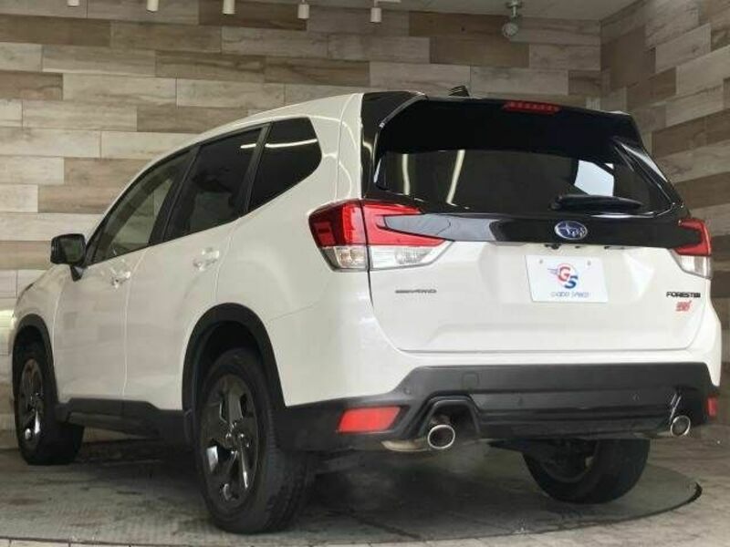 FORESTER-15