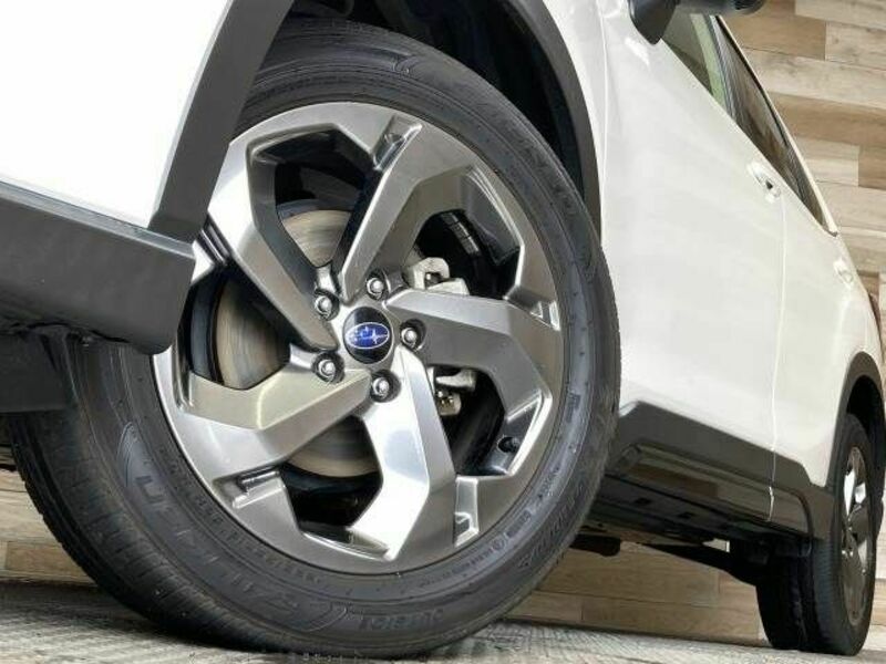 FORESTER-18