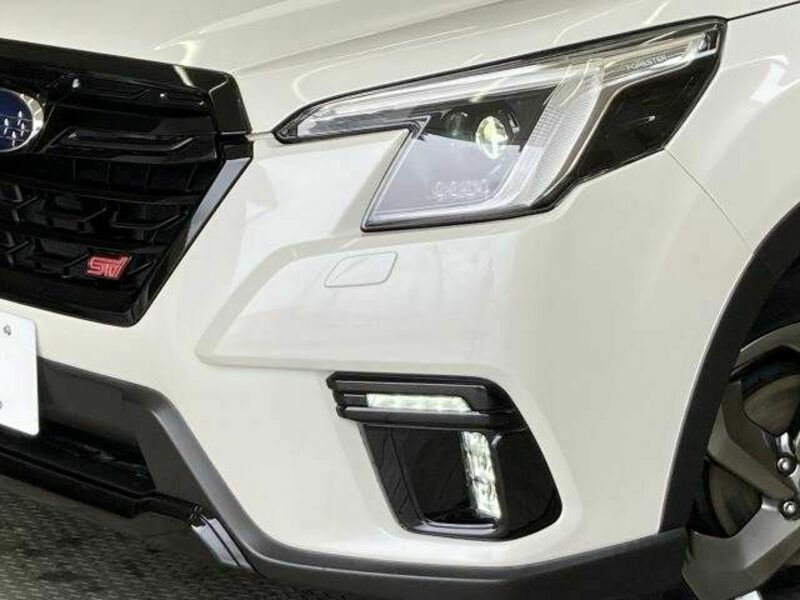FORESTER-19
