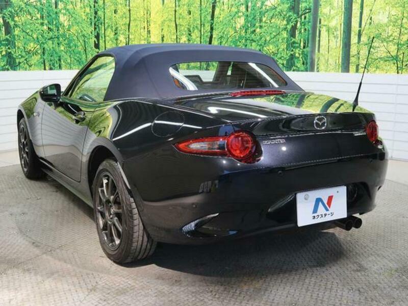 ROADSTER-15