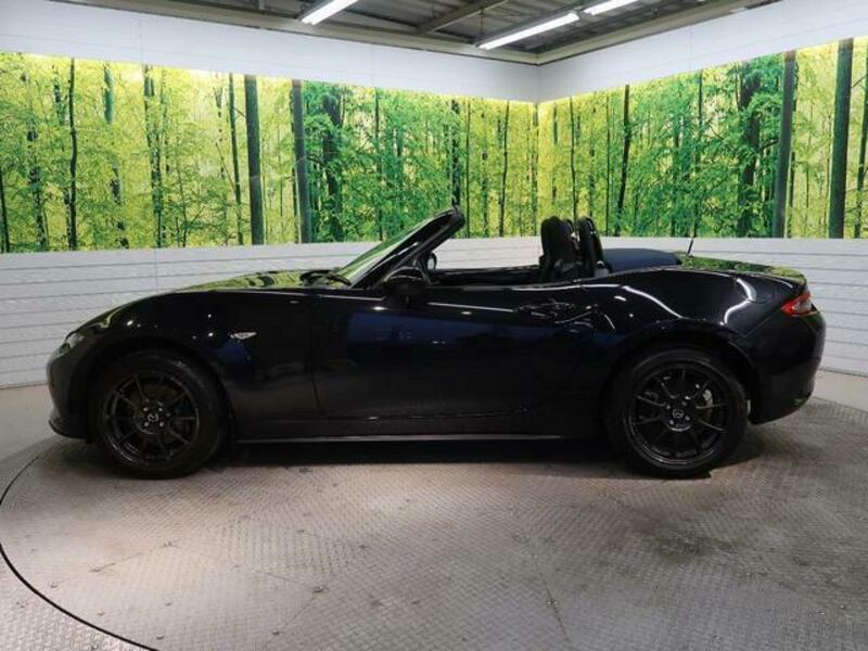 ROADSTER-16