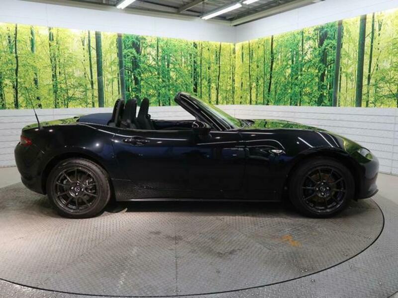 ROADSTER-17
