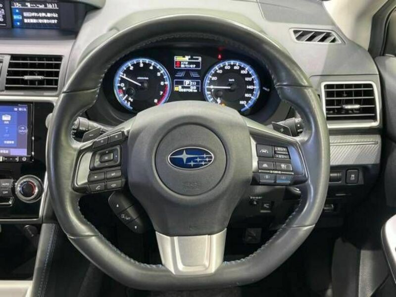 LEVORG